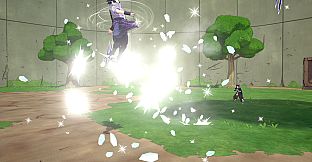 NTBSS: Master Character Training Pack - Haku