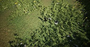 Shades Of Rayna - Damage Type Pets