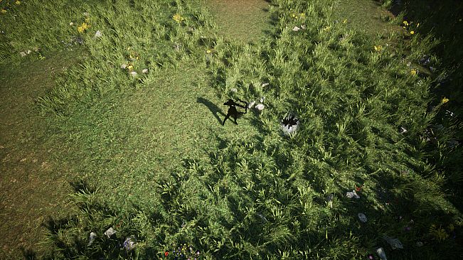 Shades Of Rayna - Damage Type Pets