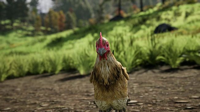 Getting To The Other Side!!!