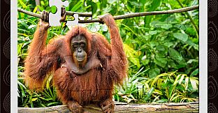 1001 Jigsaw World Tour Africa