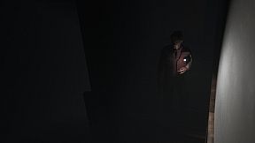 THE KING IN THE SHADES