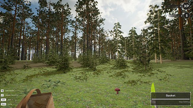 Mushroom Hunter World