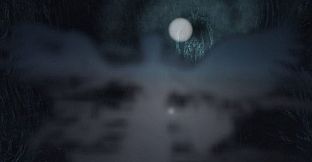 Virtual Near Death Experience