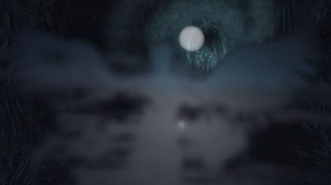 Virtual Near Death Experience