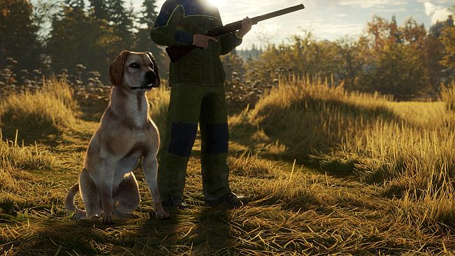theHunter: Call of the Wild - Labrador Retriever