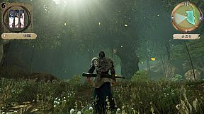 The Forgotten Concluder