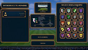 Director Manager Total