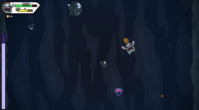 The Misadventure Of Melon