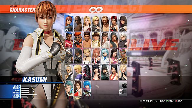 DOA6LR Kasumi Combat Ready Ninja Bundle