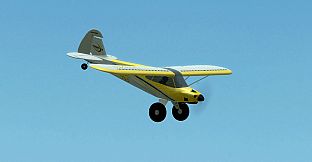 RealFlight Trainer Edition