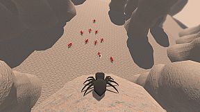 Spider Macro Survivors