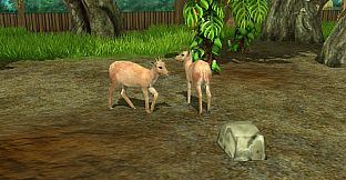 Wildlife Park 3 - Amazonas