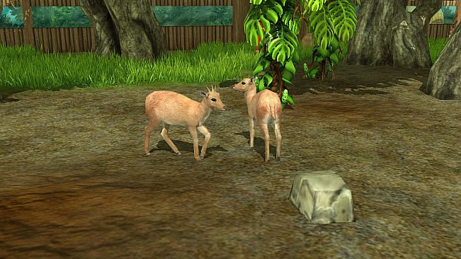 Wildlife Park 3 - Amazonas