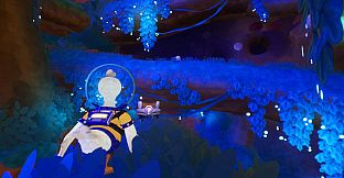 Duck Side of the Moon