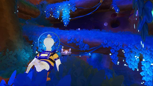 Duck Side of the Moon