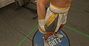The Thrill Of The Fight 2 - Reigning Champion Gloves