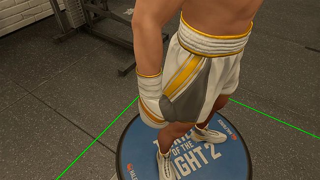 The Thrill Of The Fight 2 - Reigning Champion Gloves