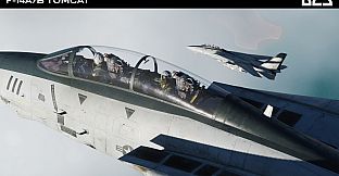 DCS: F-14A/B Tomcat by Heatblur Simulations