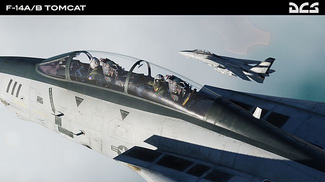 DCS: F-14A/B Tomcat by Heatblur Simulations