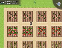 Let's Go! My Harem Farm