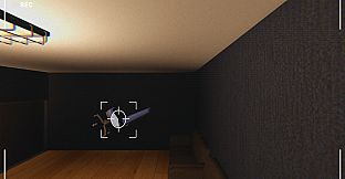 Check-In Anomaly