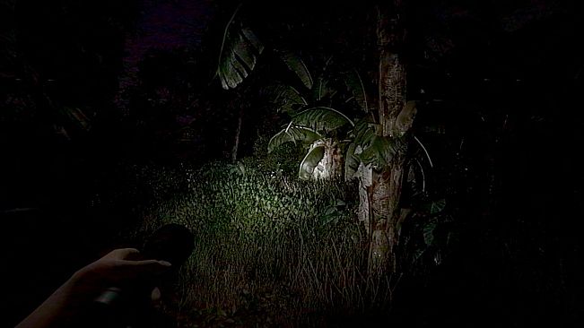 The Remains of Dahlia