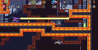 Buck 'n Grunts Bundle