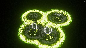 Music Visualizer Engine PC Live Wallpaper