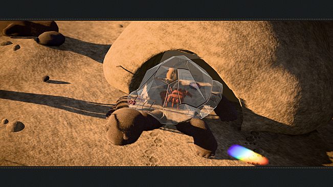 Order of the Crystalline Tortoise