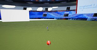 VR Cricket