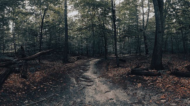 The Holyburn Witches