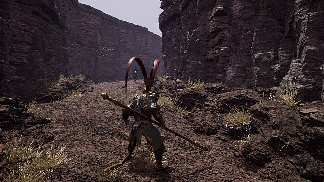 Wukong Fight in Kaoria