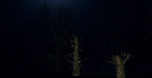 The Gladhollow Nasties