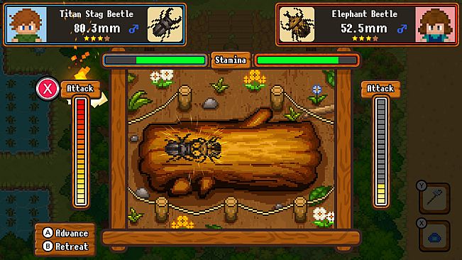 Peaceful Bug Catching Story