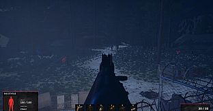 Road of a Survivor