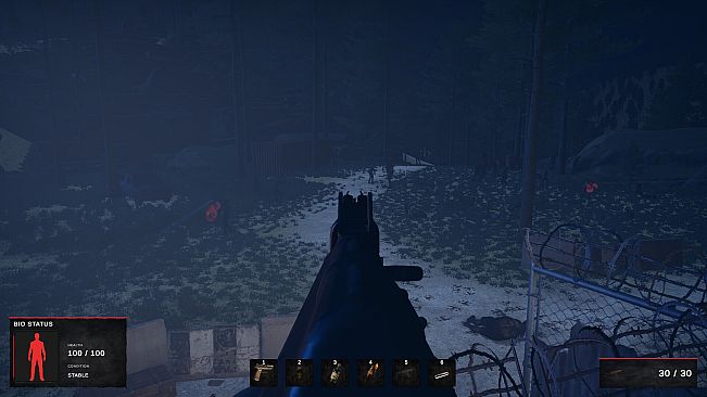 Road of a Survivor
