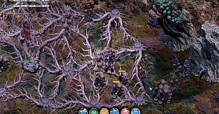 Mycelium Conquest