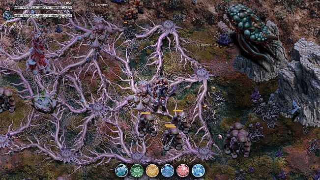 Mycelium Conquest