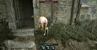 Sneaky Pig: Druid Hide & Seek