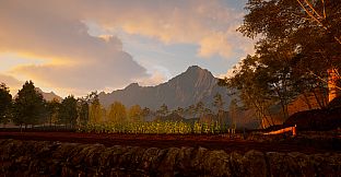 Whispers of Mexico: La noche de la casada