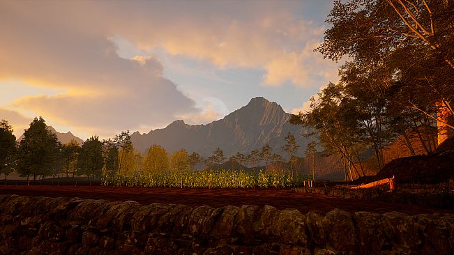 Whispers of Mexico: La noche de la casada