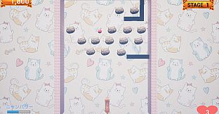 Challenge from the Black Cat