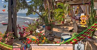 I Love Finding Cats Collector's Edition