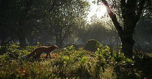 theHunter: Call of the Wild - Scotland Hunting Reserve