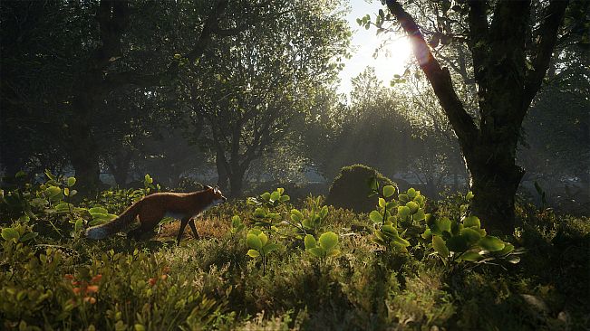 theHunter: Call of the Wild - Scotland Hunting Reserve