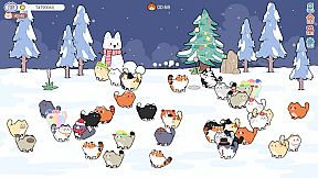 猫语拾光 Cat And Life