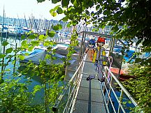 tomorrow is my birthday