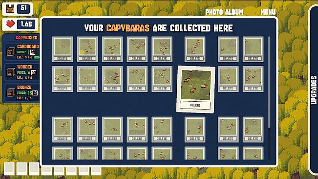 CapyCam