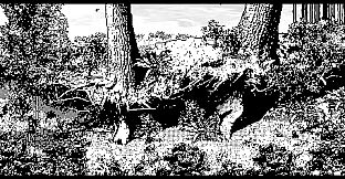 My Work Is Not Yet Done